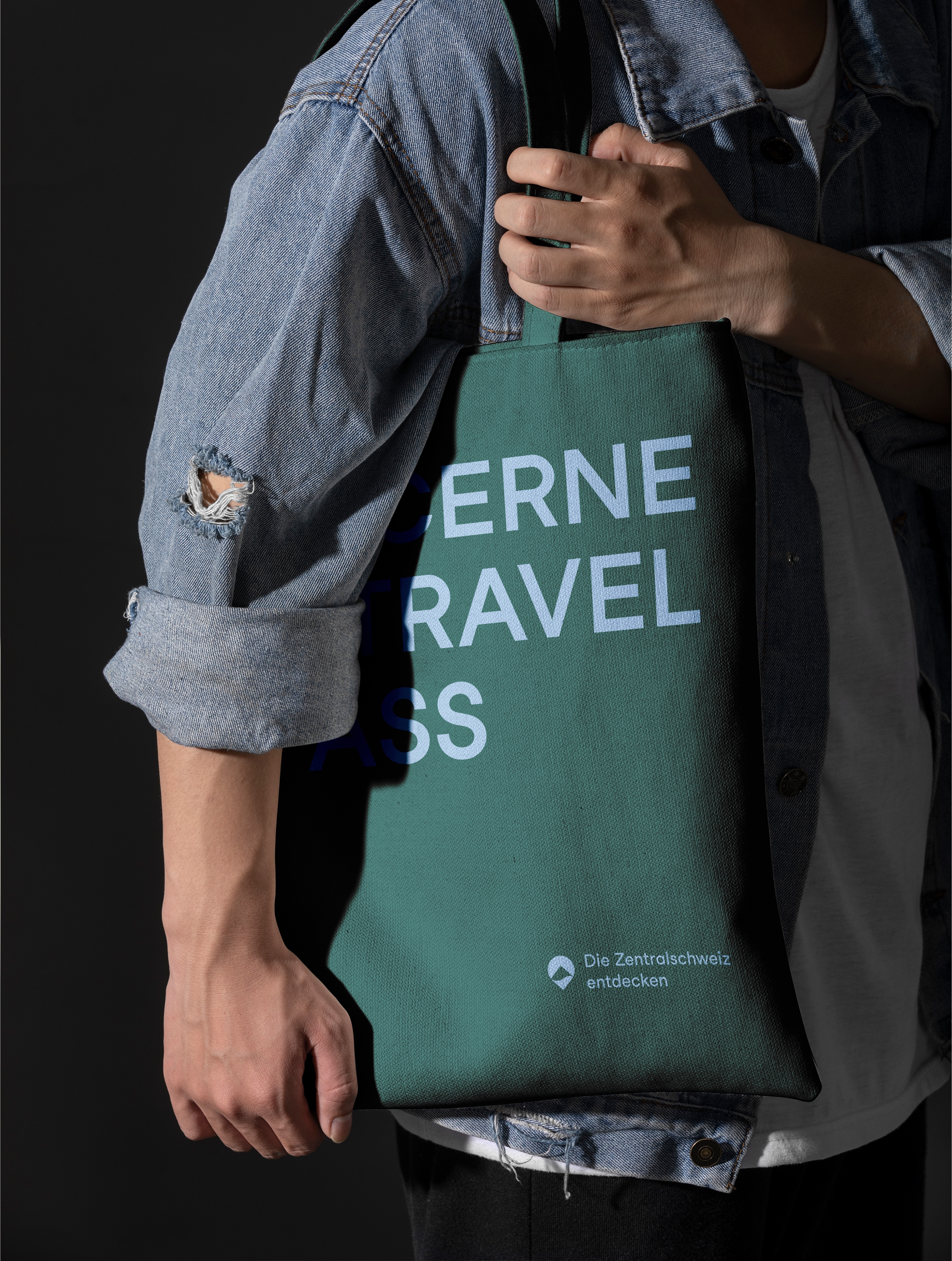Lucerne travel pass tasche